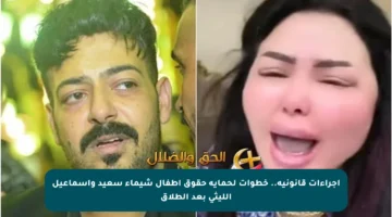 إجراءات قانونية.. خطوات لحماية حقوق أطفال شيماء سعيد وإسماعيل الليثي بعد الطلاق